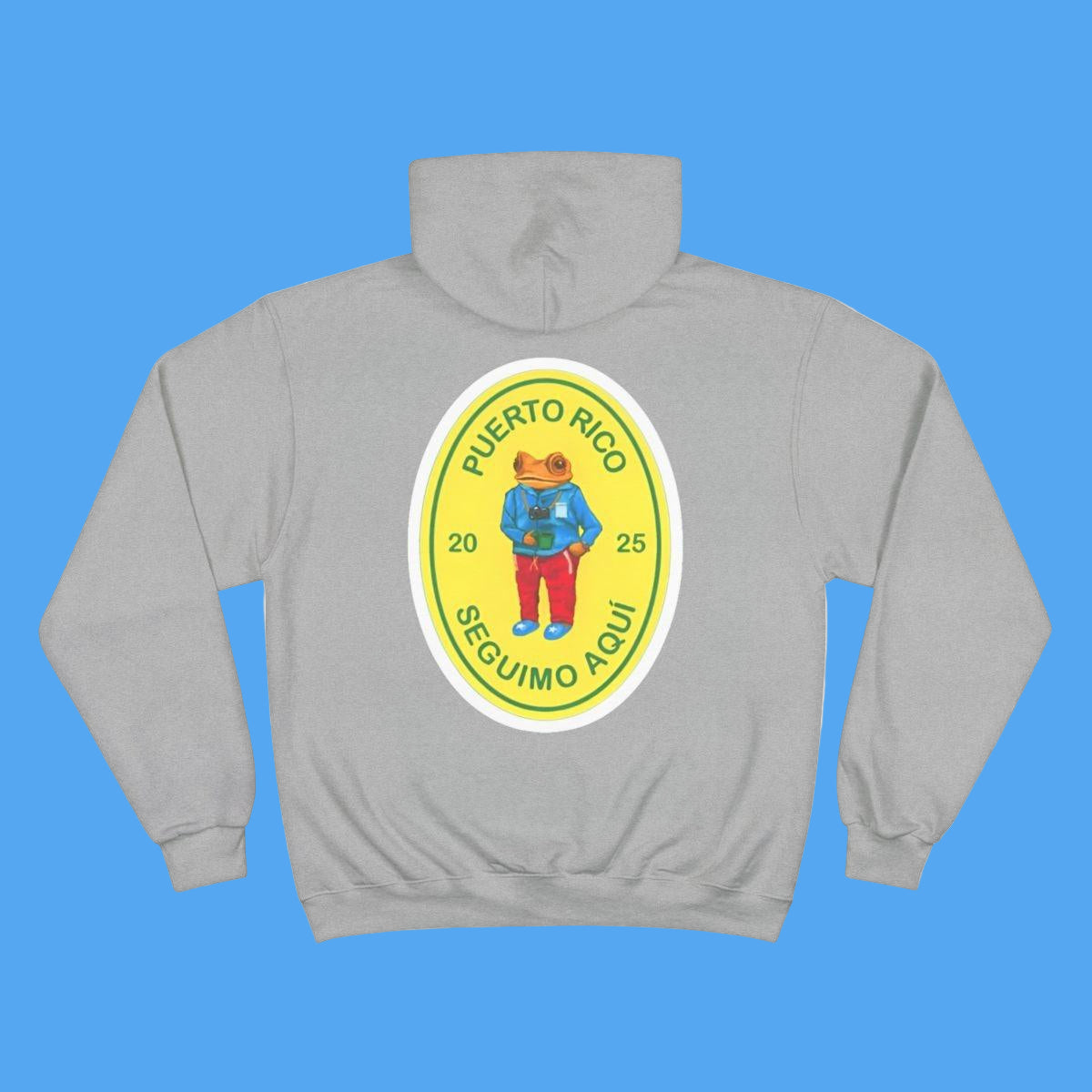 Gray hoodie with a colorful graphic on the chest against a white background